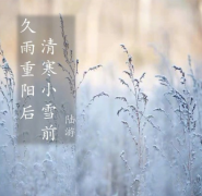 24節(jié)氣之小雪——滋補(bǔ)正當(dāng)時(shí)！張成榮陪你恣意人生！